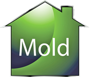 Mold Remediation