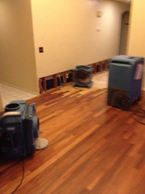 Are Hardwood Floors Salvageable After Water Damage?