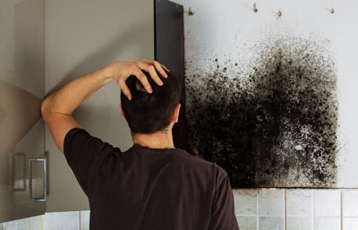 3 Reasons To Get Mold Cleaned Up Immediately