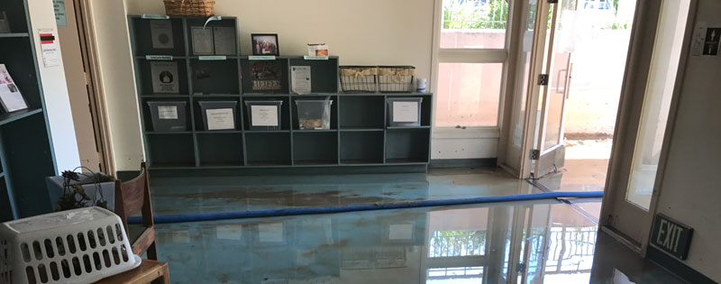 Water Damage Restoration Chula Vista, California