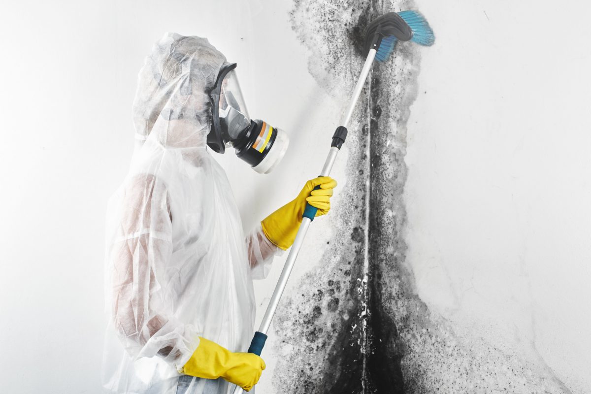 7 Common Signs of Mold in Your House