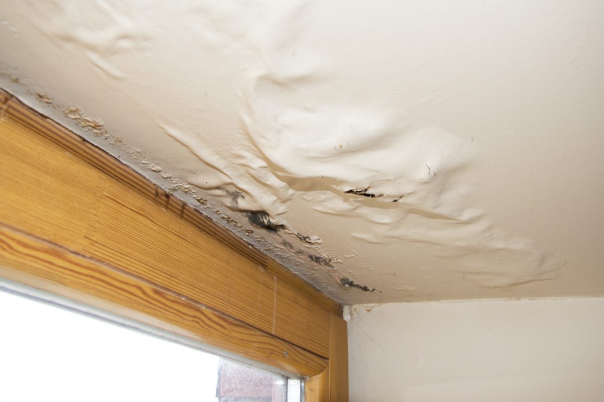 Water Damage Restoration Service Basics