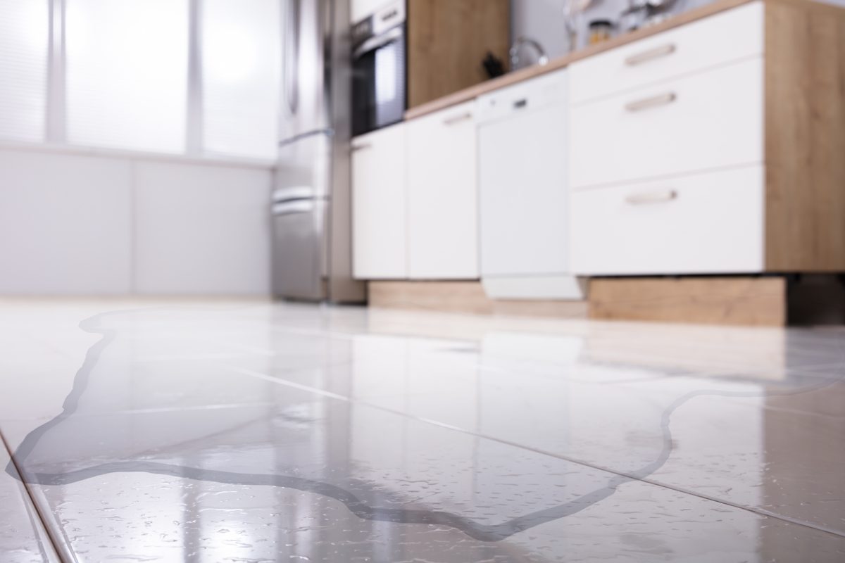 What to Do After Your Home Suffers From Water Damage