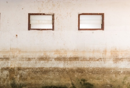 How Long Does Mold Take to Grow After Water Damage?