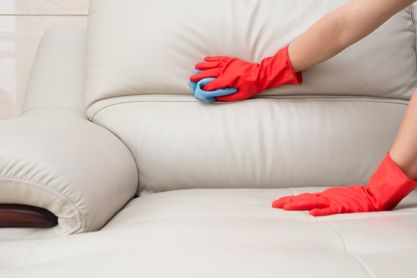 The Best Tips on How to Remove Mold From Leather